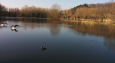 Mulderplas maart 2015