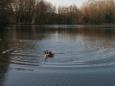 Mulderplas maart 2015