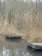 Steigers schrobben (3)