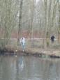 Visstekken (3)