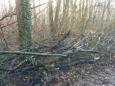 Natuurlijk vlechtwerk maken (1)