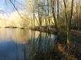 Natuurlijk vlechtwerk maken (2)