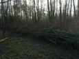 Natuurlijk vlechtwerk maken (3)