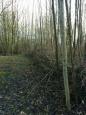 6 Natuurlijk vlechtwerk maken (6)