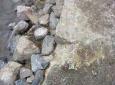 half gevuld, vissenbossen, paaigebied geplaatst maart 2016