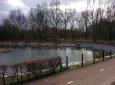 half gevuld, vissenbossen, paaigebied geplaatst maart 2016