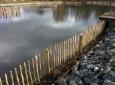 half gevuld, vissenbossen, paaigebied geplaatst maart 2016