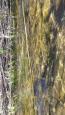 Plaatsen driehoeksmosselen 20-04-2016 (2)
